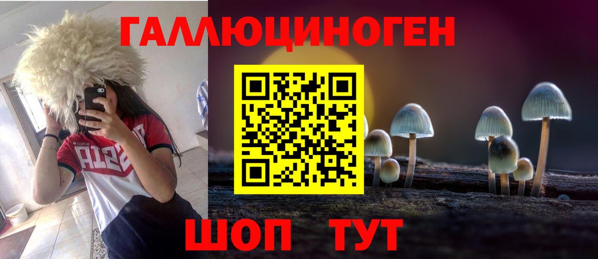 Сызрань  Псилоцибиновые грибы MAGIC MUSHROOMS  Вход с VPN 